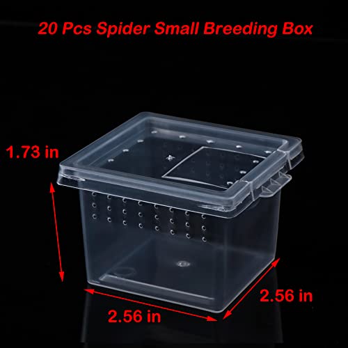 20 Pcs Spider Terrariums Breeding Box Hatching Container Acrylic Feeding Box for Small Reptile Scorpion Centipede Insect