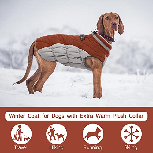 Dog Coat for Large Dogs (Brown / L(chest:24in))