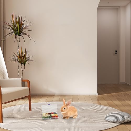 Bunny Treats Treat Box with 15 Kind of Snacks for Rabbit (A / 1 Pack)