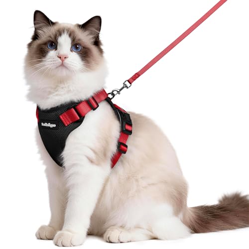 Cat Harness and Leash Set (M / Black & Red)
