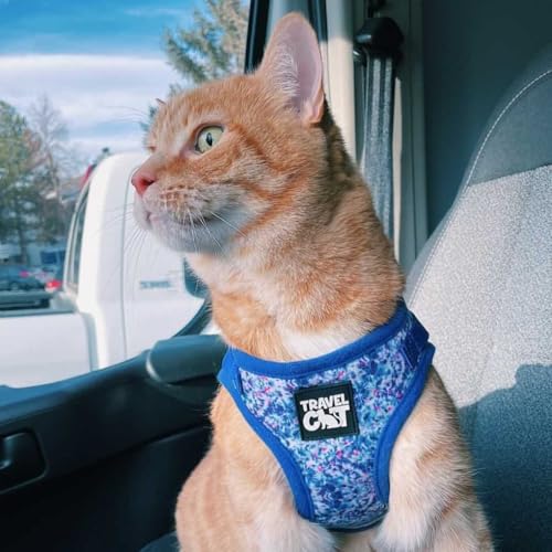 Travel Cat Harness and Leash Set (Small / Groovy Cat)