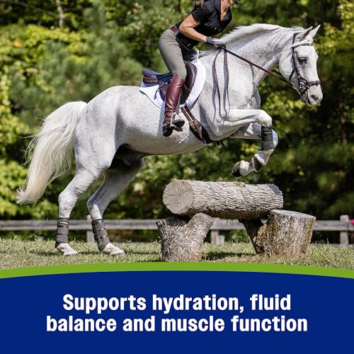 Apple Elite Horse Electrolytes Pellets Supplement (7.5 pounds)