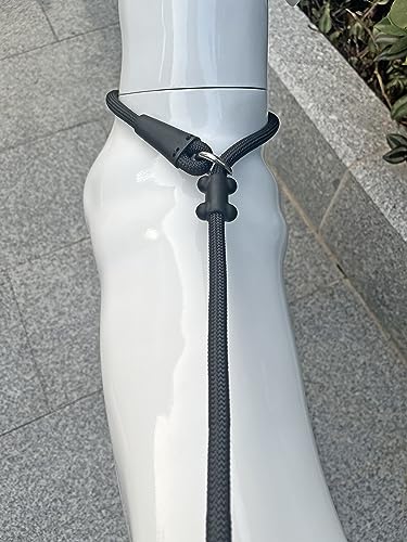 Slip Lead Dog Leash (1/2"×4ft / Black)