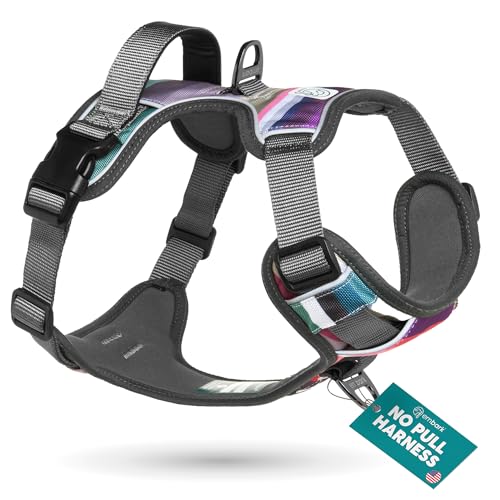 Embark No Pull Dog Harness (L / Baja)