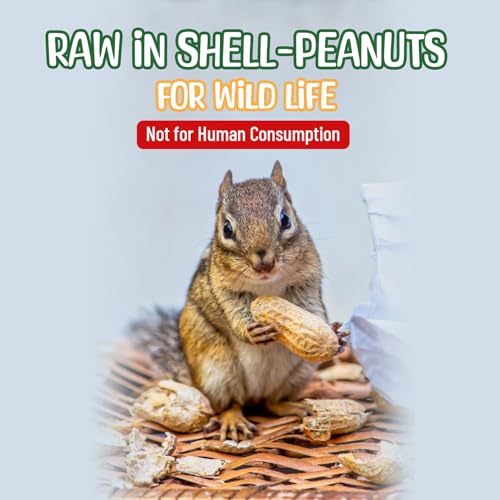 Raw Peanuts in Shell (5 Pound (Pack of 1))