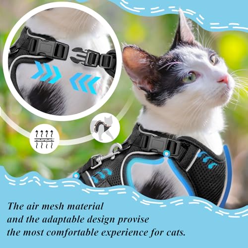 Cat Harness and Leash Set (Black / Small)