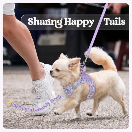 Dog Harness Small Sized and Leash Set (Lavender Floral / Xs (chest: 13.3 - 15.5"))