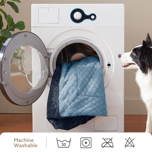 XL Orthopedic Dog Beds Large Sized Dog (L Plus(38"L x 28"W x 8"Th) / Blue)