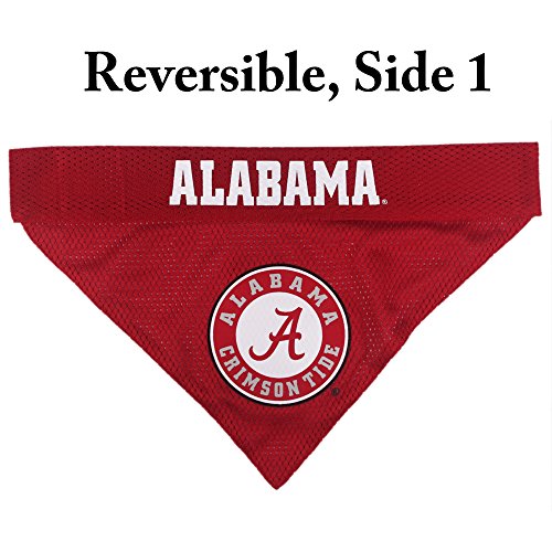 Collegiate Pet Accessories (Small/Medium / Alabama Crimson Tide)