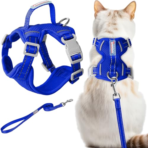 Cat Harness and Leash Set Escape Proof for Kitten Walking (Medium / Sapphire Blue)