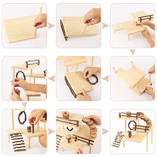 Hamster Climbing Toys 3