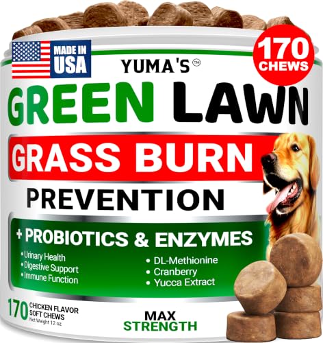 Dog Urine Neutralizer for Lawn (Green Lawn + Probiotic / 170 Chews)