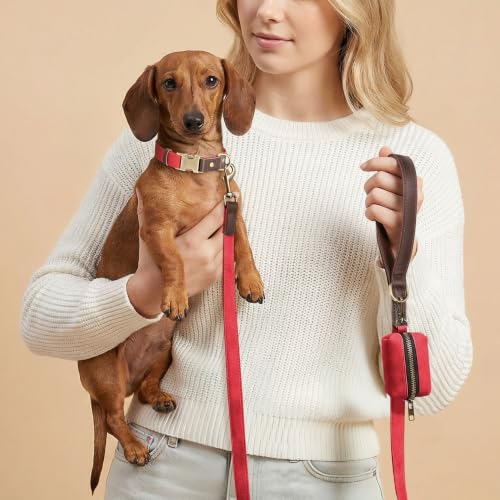 PU Leather Dog Collar for Small Dogs Puppy (Red / S: Neck 11-15", Width ⅝")