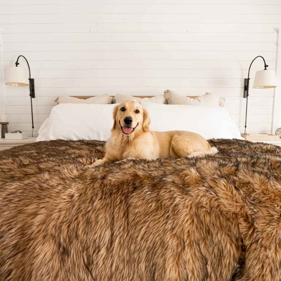 PupProtector Waterproof Throw Blanket (Sable Brown / Original (60" L x 50" W))