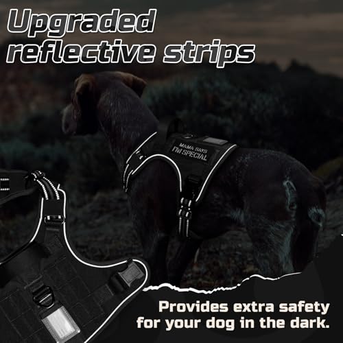 Tactical Dog Harness for Medium (Black / Medium)