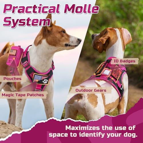 Tactical Dog Harness for Small (Black & Rose Red / Small)
