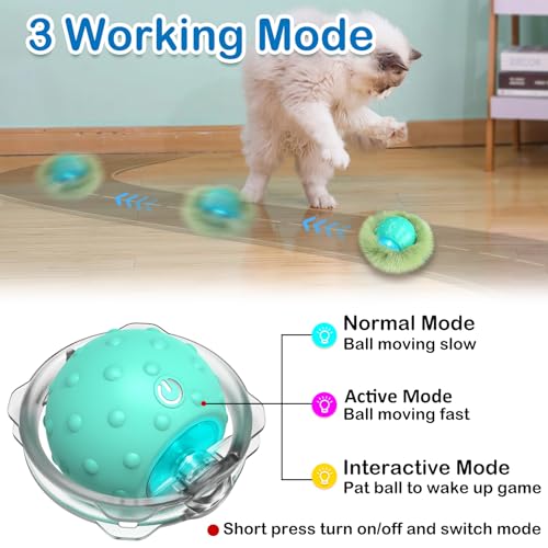 Interactive Cat Toys for Indoor Cats (green)