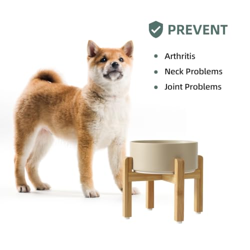 Dog Bowls Elevated (Matte Khaki)