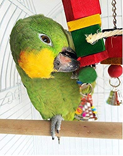 Bird Parrot Parakeet Toys (C-6.5 x 12.6inch)