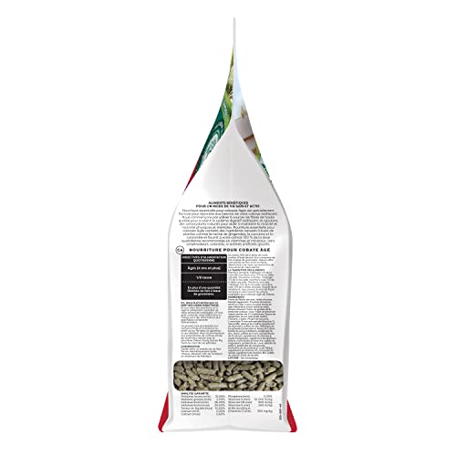 Essentials Senior Guinea Pig Food (4 Pound (Pack of 1))
