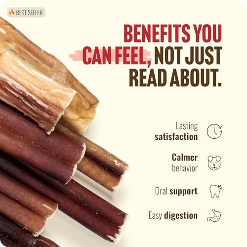 2 3 Inch Bully Sticks for Small Dogs & Puppies (2-3" Standard - 1 lb)