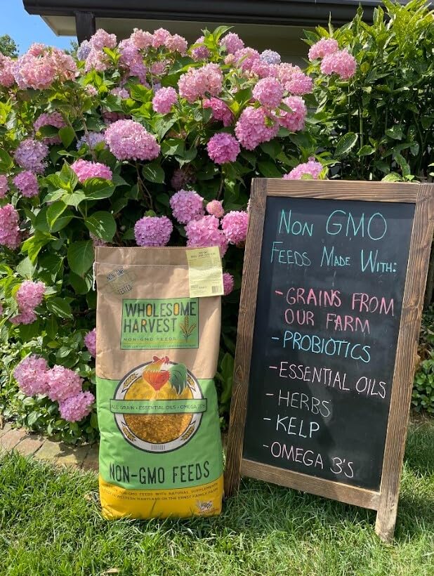 Non-GMO High-Protein Layer Blend 10 lb (10 Pound (Pack of 1))