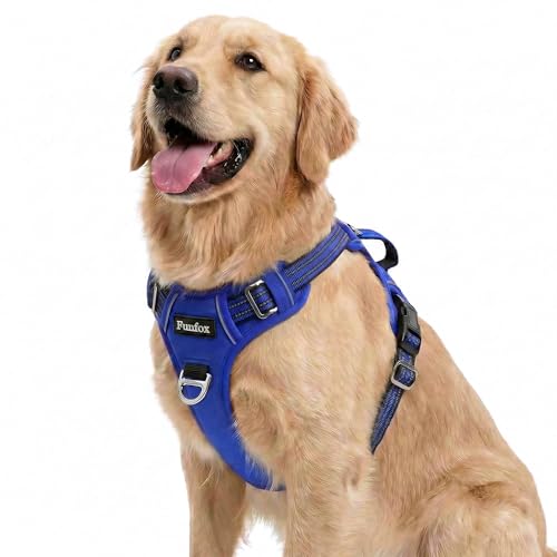 Dog Harness No Pull (Blue / Large)