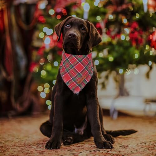Christmas Dog Bandanas with Tassels Edges (Large / Christmas-1)