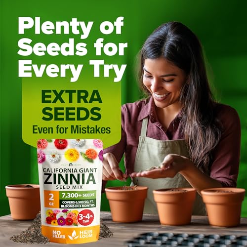 Zinnia California Giant Seeds 2 oz
