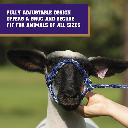 Poly Rope Sheep Halter (Blue)