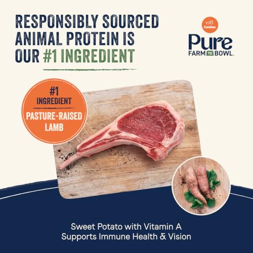 Pure Farm to Bowl (22 Pound (Pack of 1))