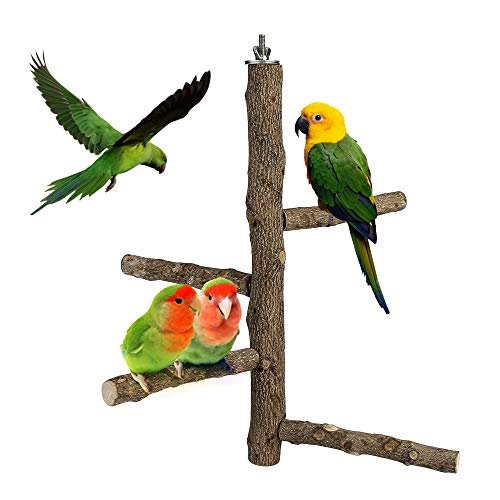 Bird Perch Stand Toy Natural Wood Bird Cage Branch Perch 14 Inch (14 Inch Perch)
