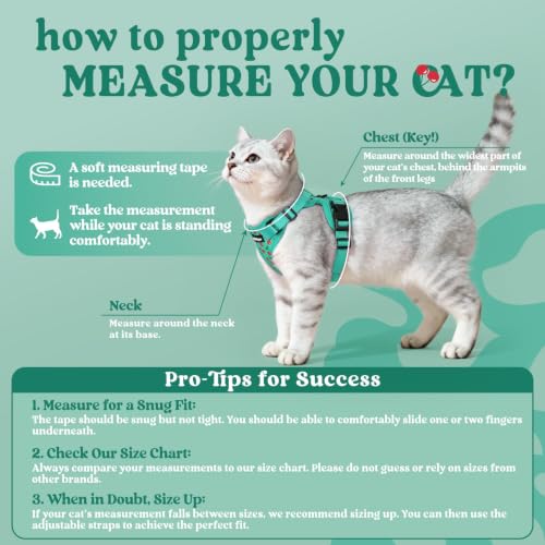Cat Harness and Leash Set (M / Cherry Grove)