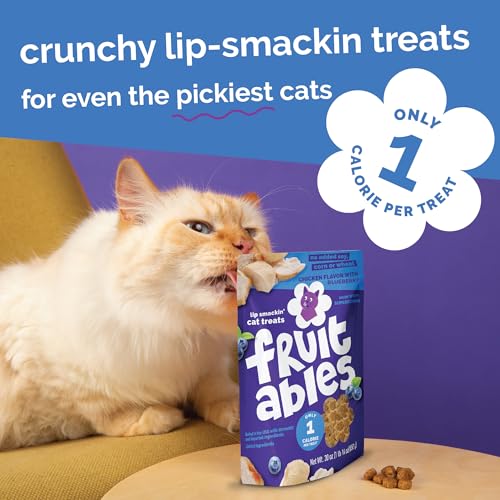 Crunchy Cat Treats (1.88 Pound (Pack of 1) / Chicken & Blueberry)