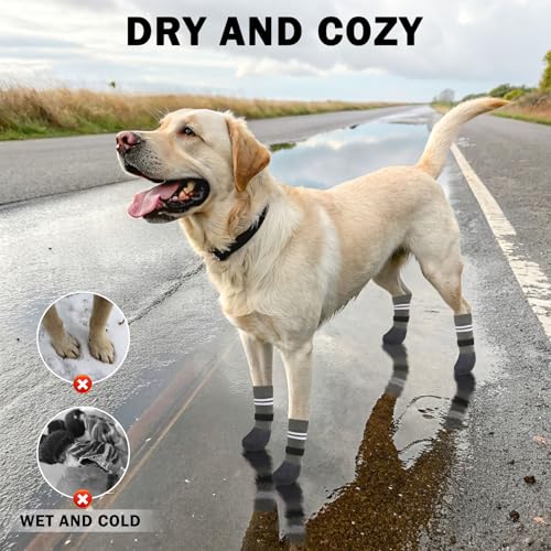 Anti Slip Dog Boots & Paw Protectors for Hardwood Floor (Grey / Medium(Paw width 2.04in/5.2cm))