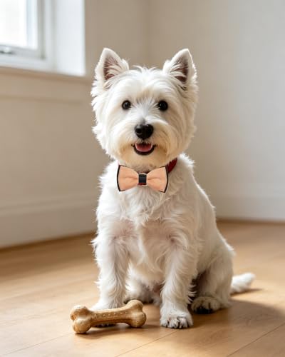 10 Pack Mixed Colors Dog Bowties for Small Dogs Sliding on Collar (S/M)