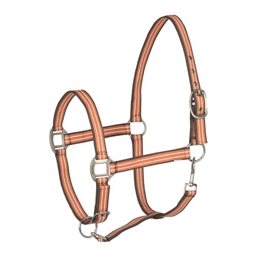 Adepto Adjustable Horse Halter (Coral Gold / Horse)