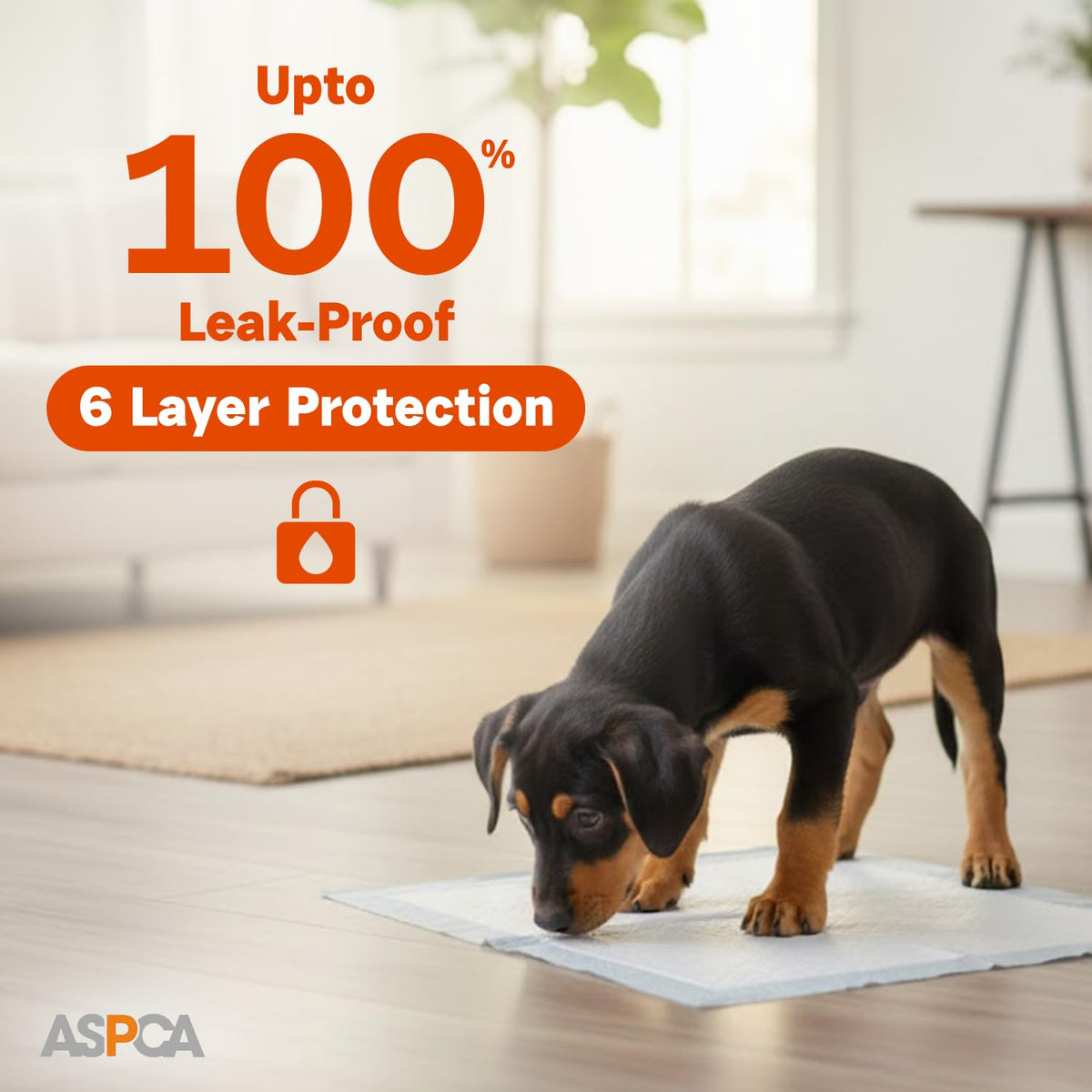 Dog Training Pads (Fresh / 50 Count - (22 x 22))