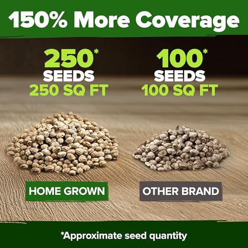Nasturtium 250+ Seeds