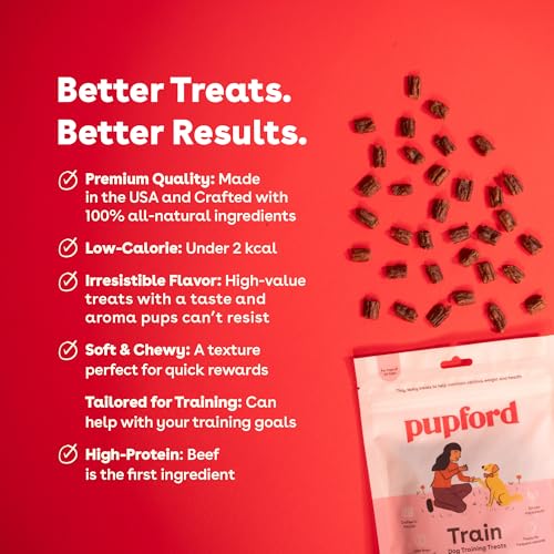 Soft & Chewy Training Treats for Dogs & Puppies (10 Ounce (Pack of 1))