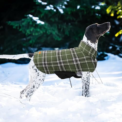 Waterproof Dog Coat (Olive Green / X-Large (Pack of 1))