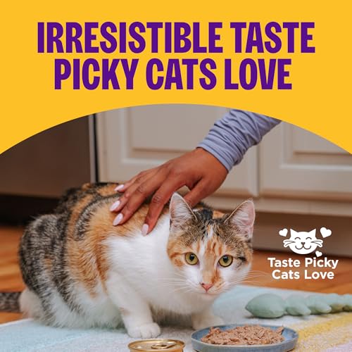 Complete Health Morsels Adult Canned Wet Cat Food (5.5 Ounce (Pack of 24))