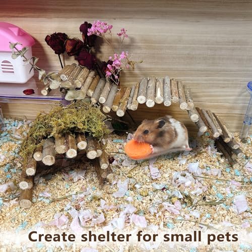 19.7 & 9.8In Wooden Hamster Bridge Fence Rat Climbing Toys for Gerbil Mouse