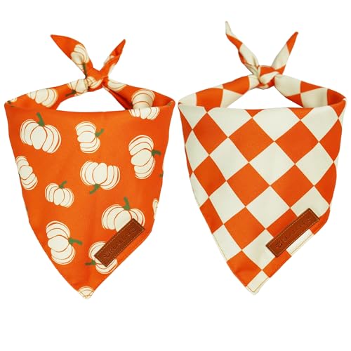 Thanksgiving Fall Dog Bandanas 2 Pack (Fall / Large)