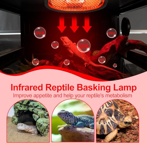 G9 Reptile Infrared Heat Lamp (Infrared Basking)