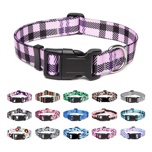 Adjustable Dog Collar (Extra Small / Purple Plaid)