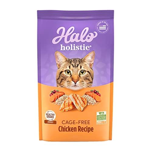 Holistic Dry Cat Food