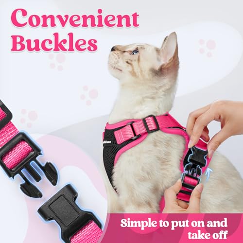 Cat Harness and Leash Set (Black & Rose Pink / Xs)