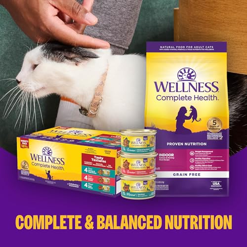 Complete Health Pate Adult Canned Wet Cat Food (5.5 Ounce (Pack of 24))