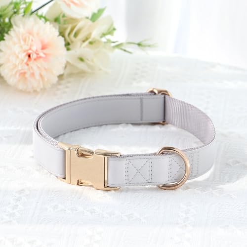 Soft PU Leather Dog Collar (S: Fit 9-14" Neck(10-20 lbs) / Gray)